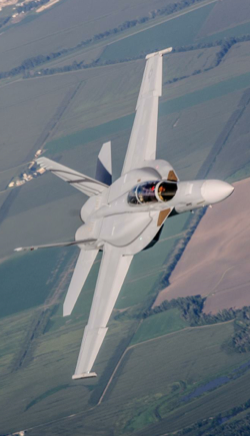 Illustration for article titled The Right Fighter For Canada Is The Super Hornet, Not The F-35